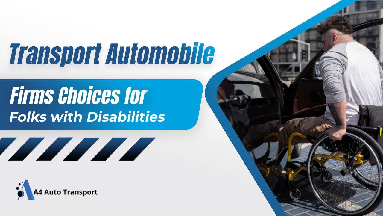 Transport Automobile Firms Choices For Folks With Disabilities